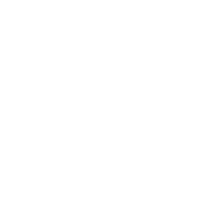 Ergonomic Icon